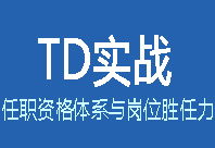 TD實(shí)戰(zhàn)：任職資格體系與崗位勝任力